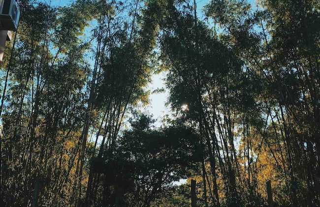 Rosa Pantai Beach Village - Foto 37