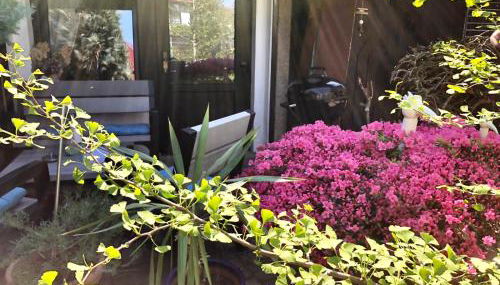 Ferienwohnung Fürstenwalde Spree - Photo 4