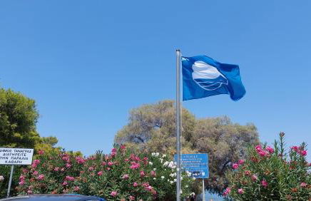 Nadina's house - Foto 50