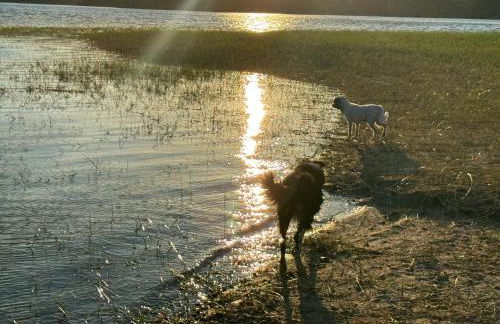 Monte Santo - Foto 45