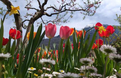 Appartment Lodged Mamma Maria - Foto 79