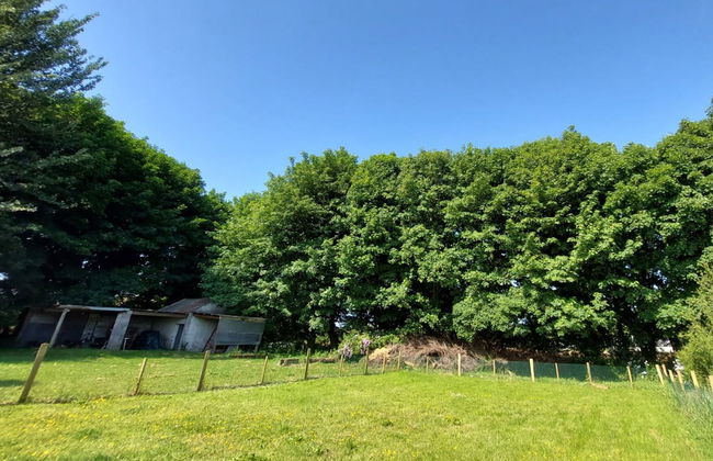 Farm View Cottage Castlerea - Photo 21