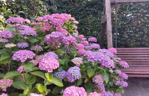 Ferienwohnungen Auf der Düne - Foto 61
