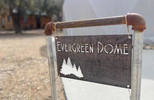 Zen Zion Evergreen Dome - Photo 27