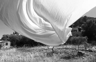 Can Pep Pardal - Foto 36