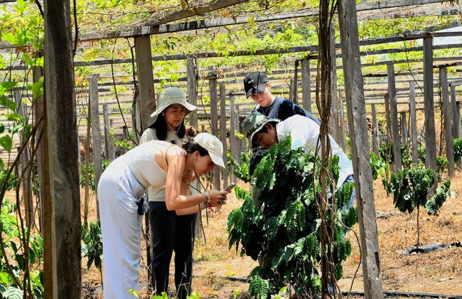 PIDA COFFEE FARM LODGE - Photo 41