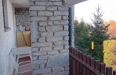 Panoramic Eagle - Photo 13