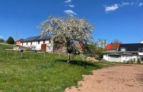 Ferienresort Weidelbach - Foto 32