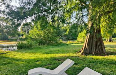 Reflets de Sologne - Foto 13