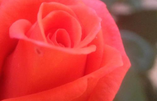 Agriturismo La Casina della Burraia - Foto 31