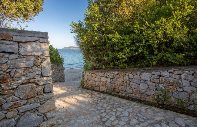 Golden King - Foto 55