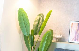 L'entre deux-suite romantique - jacuzzi privatif - clim réversible - wifi - Foto 9