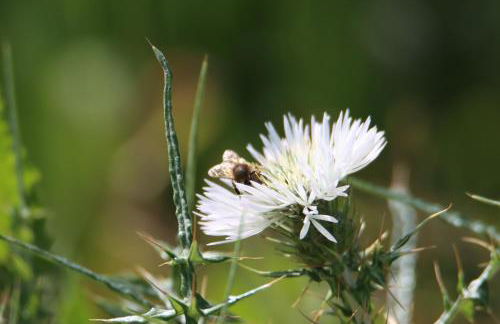 Vista Baglio Grande - Foto 39