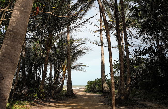 Daintree Beach Resort - Foto 71