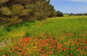 A 20 passi dal mare - Foto 14