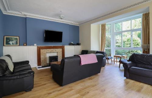 Bryn Cemlyn - Foto 5