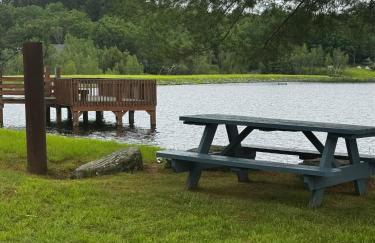 Large Group Friendly 2 Game Rooms Indoor Sauna Hot Tub Near Jack Frost Ski Resort - Foto 48