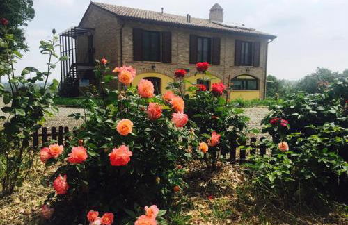 Agriturismo Il Colle del Falco - Photo 26