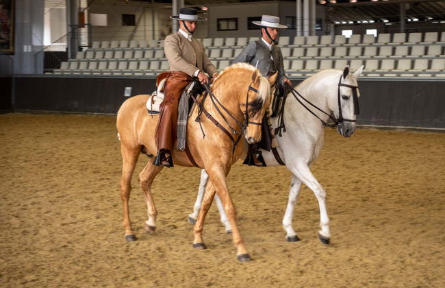 Spectacle équestre à Carmona - Photo 7
