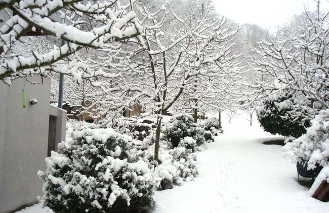 Pfaelzerleben - Foto 17