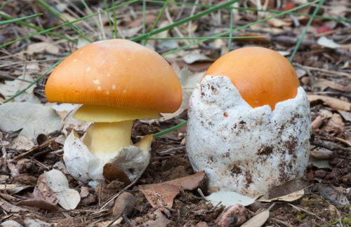 Casa Rural “La Julianita” - Foto 32