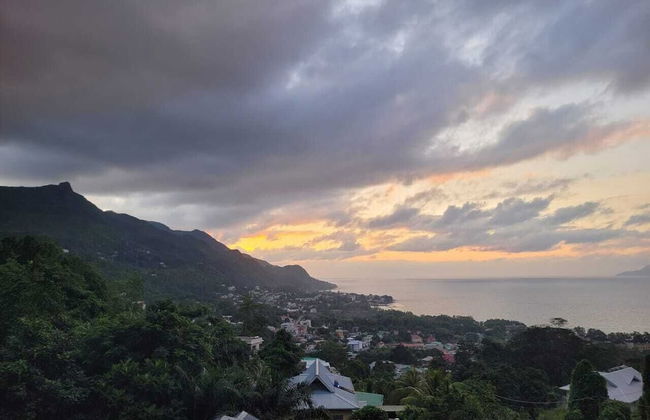 Wild Vanilla Apartment - Photo 52