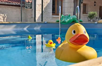 Gîtes Angulus Ridet - Foto 1