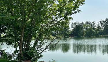 La Ramure - Tiny chalet et sauna privatif, vue lac et pêche en famille - Foto 4