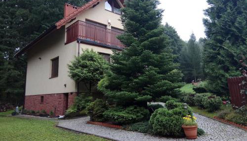 Rychwałd - Full House! - Foto 2, Garden, Garden view