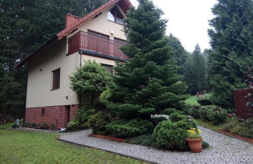 Rychwałd - Full House! - Foto 2