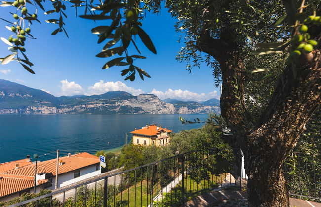 La Maison Blanche - Photo 17