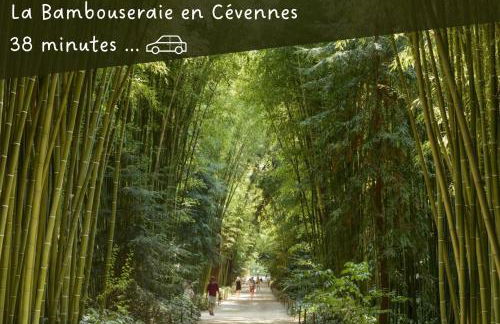 Escapade - Ciné privé, balnéo et jardin - Foto 45