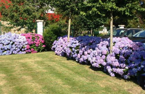 Apartamentos La Cruz de Paderne - Foto 55