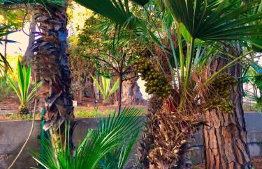 Le Due Pigne - Foto 40