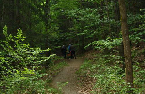 Ferienhaus Pahl in Wolfshagen - Foto 15
