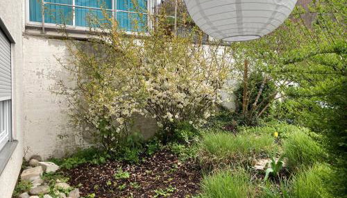 Geräumige Wohnung bei Basel - Foto 5