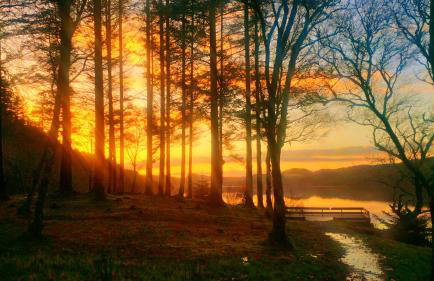 Argyllholidaycottage Loch Awe - Foto 28