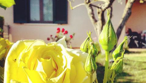 Residence Ai Campi Da Golf Saturnia - Foto 3, Garden