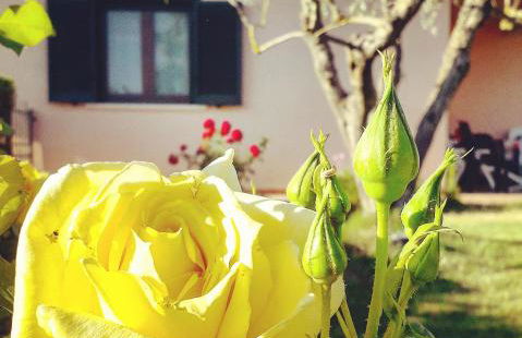 Residence Ai Campi Da Golf Saturnia - Foto 3