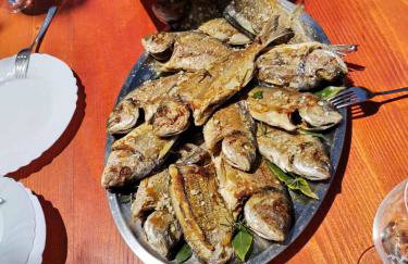 Olive Garden 2 - Foto 14