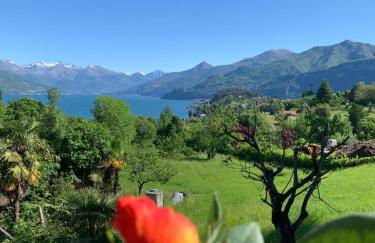 COTTAGE ROSE - Photo 11