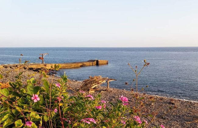 Fajã dos Padres - Foto 20