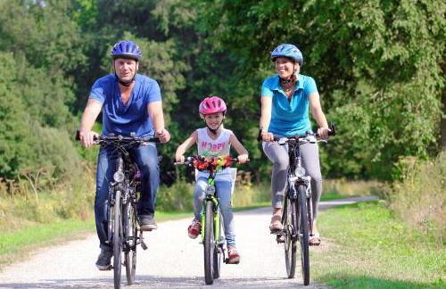 Ferienhaus Heideland Winsen Aller - Foto 43