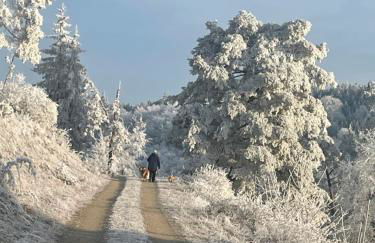 Ferienwohnung Aussicht, Monheimer Alb, Altmühltal - Foto 32