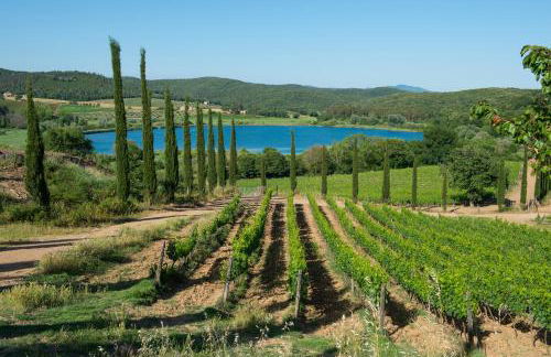 Tenuta La Tabaccaia - Foto 23