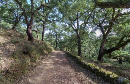 Finca Montemateo - Foto 31