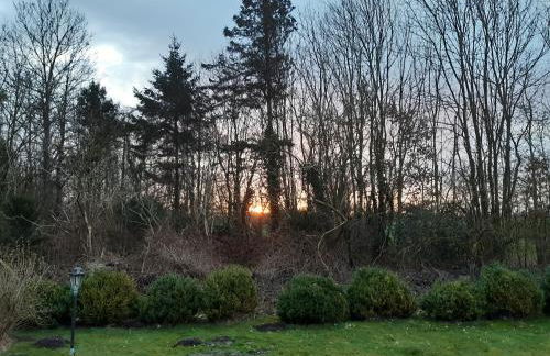 Ferienwohnung Frisia - Photo 12