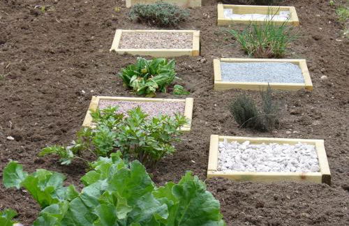 Gîte calme près de Meung-sur-Loire avec jardin et terrasse - FR-1-590-537 - Photo 24