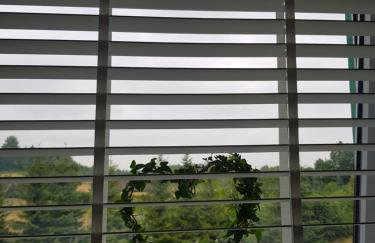 Pokoje przy Zamku - Foto 78