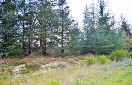 Le Grand Cottage Nature Piscine Chauffée Privée du Tarn entre Toulouse et Albi & Les Cottages du Tarn - Foto 67